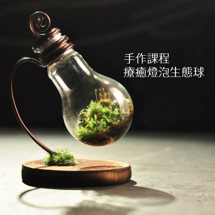 (六)下午2:00~4:00 Green idea plant 疗愈灯泡生态球